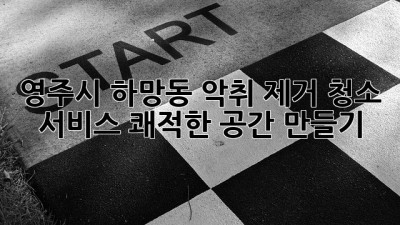 영주시 하망동 악취 제거 청소 서비스: 쾌적한 공간 만들기