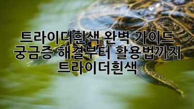 트라이더흰색 완벽 가이드✨: 궁금증 해결부터 활용법까지! #트라이더흰색